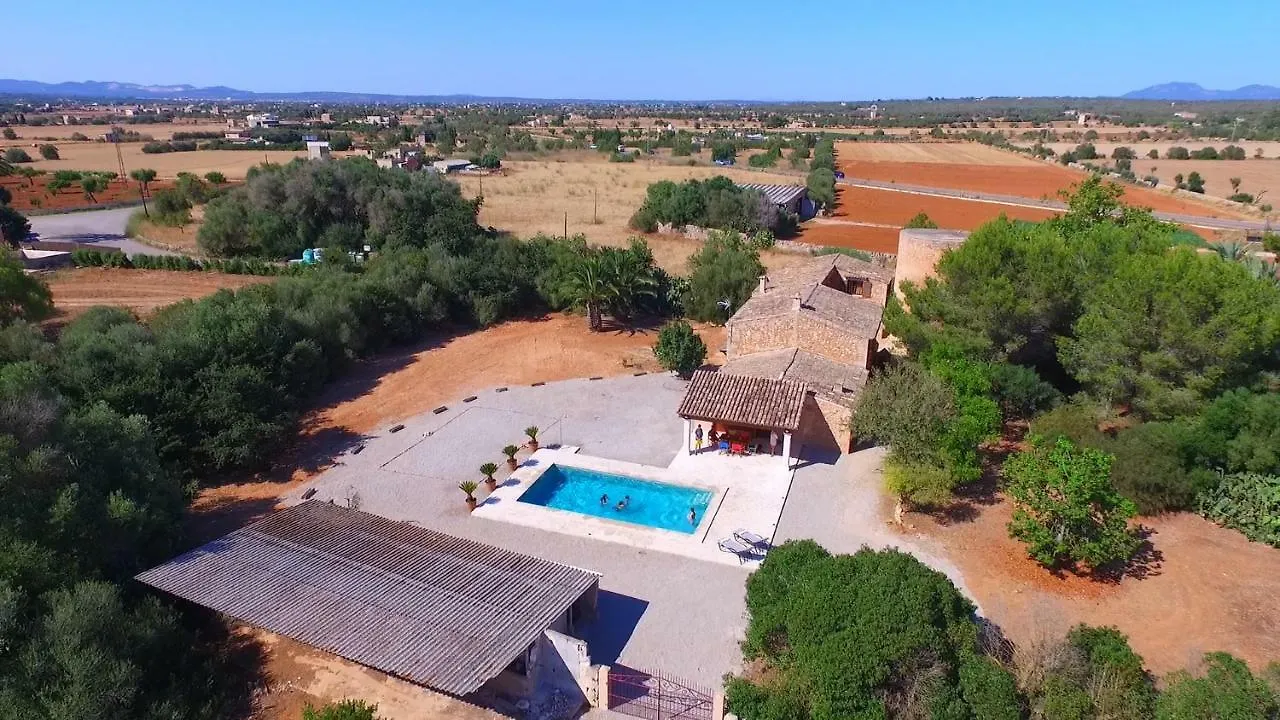 Finca Sa Torre De'N Piza - Grupo Berna Campos